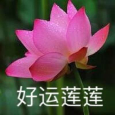 人民网评：“零容忍”严打破坏生态安全犯罪